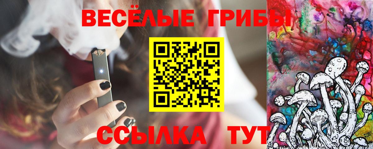 Кинель  Псилоцибиновые грибы Cubensis  купить наркотики сайты  Вход с VPN 