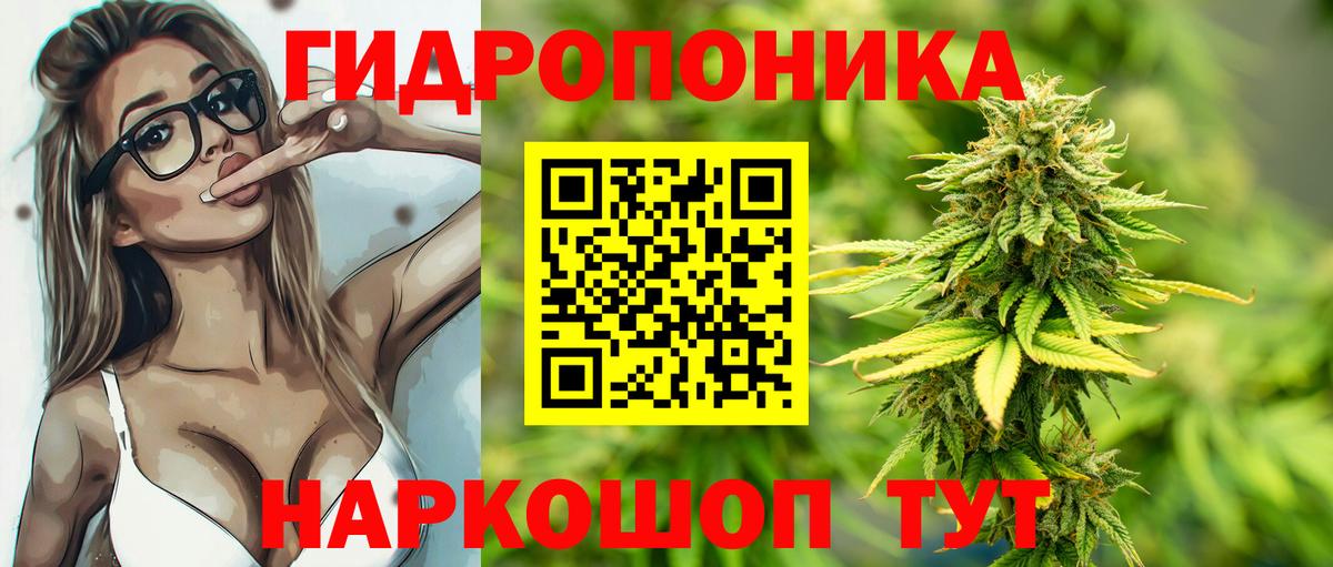 Бошки марихуана сатива Кинель